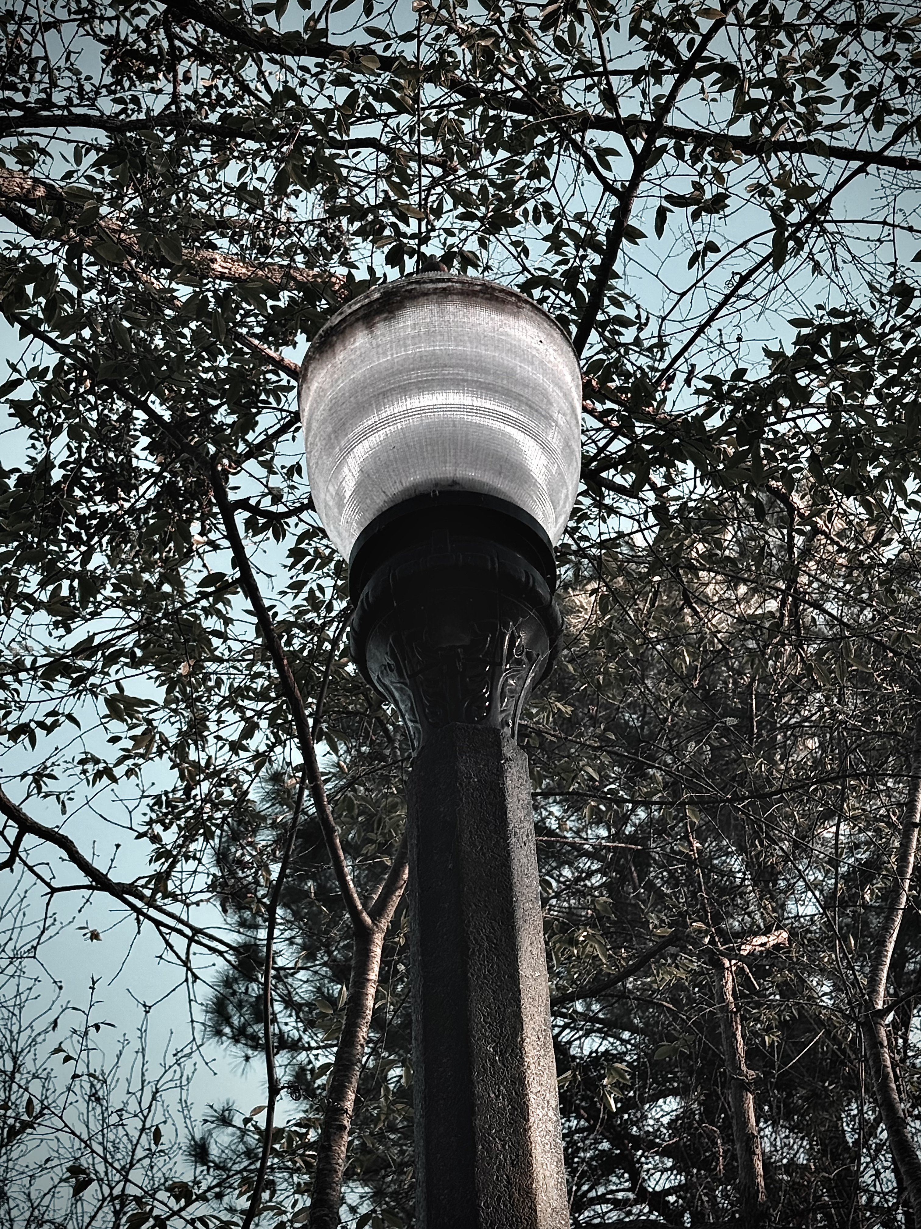 Instagram 9